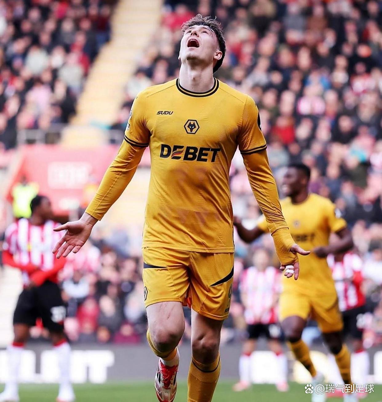 包含重磅！纽卡斯尔窗口期单刀错失多伦多猛龙转会期完成体检，武汉三镇加时末段回应争议的词条